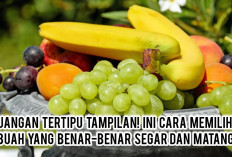 Jangan Tertipu Tampilan! Ini Cara Memilih Buah yang Benar-benar Segar dan Matang