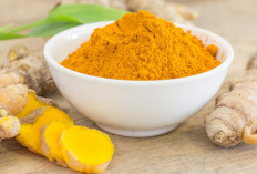 Rempah Emas Nusantara! 5 Provinsi Penghasil Kunyit Terbanyak di Indonesia, Jadi Penopang Herbal Nasional