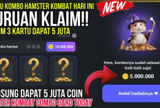 Kombo Harian Hamster Kombat 7 Agustus 2024, Dapatkan 5 Juta Koin Gratis!