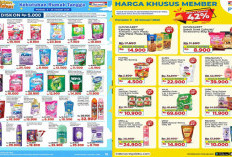 Ada Diskon Nih! Katalog Promo JSM Indomaret 19 Januari 2025, Sayang Detergent Hanya Rp12 Ribu