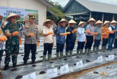 Begini Cara Kodam II Sriwijaya Dukung Program Ketahanan Pangan