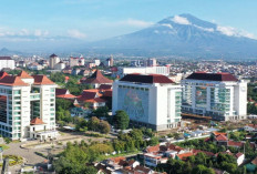 4 Kampus Terbaik ini Buka Pendaftaran Jalur Mandiri, Bahkan Bisa untuk Usia di Atas 25 Tahun!