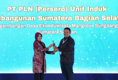 PLN UIP Sumbagsel Raih Silver dalam Ajang CSR & Pengembangan Desa Berkelanjutan Awards 2025