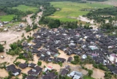 Ratusan Hektar Sawah dan Puluhan Kolam Rusak Diterjang Banjir, Ini yang Dilakukan TPHP Lahat