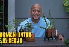 5 Tanaman Hias Mini untuk Meja Kerja yang Bikin Fokus, Bekerja Makin Produktif