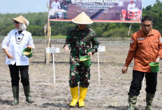 Dukung Swasembada Pangan, Danrem Gapo Hadiri Tanam Padi Serempak