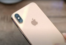Apple Larang Penggunanya Mengeringkan Iphone Pakai Beras, Kenapa Ya?