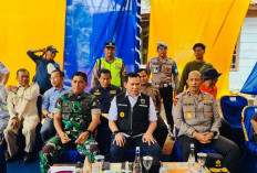 Tinjau Jembatan di Muba, Ada 2 Jenderal Berpangkat Tinggi Dampingi Pj Gubernur Sumsel, Siapakah Mereka?