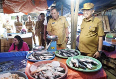 Harga Cabai Tembus Rp70 Ribu, Pemda OKU Timur Turun ke Pasar