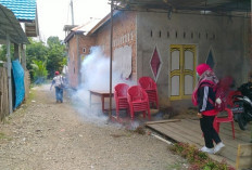 Waduh, 14 Desa di Tanjung Sakti Pumu Lahat Diasapi, Ada Apa Tuh