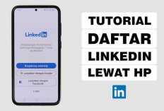 Karir Melesat! Strategi Jitu Menggunakan LinkedIn Agar Profil Dilirik HRD dan Peluang Kerja Terbuka Lebar
