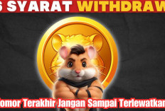 Ingin Dapat Airdrop Hamster kombat? Ini 6 Kriteria yang Harus Dipenuhi, No Terakhir Jangan Sampai Terlewatkan