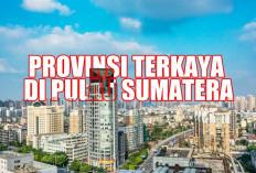 5 Provinsi Terkaya di Pulau Sumatera 2025, Fakta Mengejutkan, Sumsel Masih Eksis atau Tergusur?
