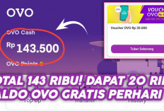 Main Game Dapat Saldo OVO Gratis? Coba 3 Aplikasi Ini yang Terbukti Membayar!