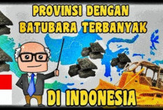 Daerah Penghasil Batu Bara Terbesar di Indonesia: Sumatera Selatan Gagal Jadi Nomor 1, Siapakah Jawaranya?