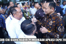 Kawal Promosi Investasi Produk Unggulan Sumsel, Wagub Cik Ujang Hadiri APKASI Expo 2025