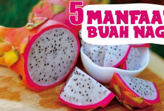 5 Manfaat Buah Naga yang Tak Terduga, Bisa Mencegah Penyakit Apa Saja? Simak di Sini Penjelasannya