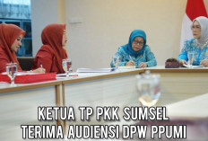 Merasa Klik, TP PKK Provinsi Sumsel Membuka Ruang Kerja Sama dengan DPW PPUMI
