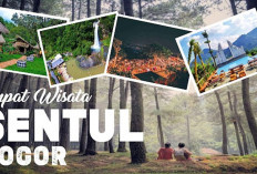 7 Tempat Wisata Keluarga Murah dan Instagramable di Sentul 2025!