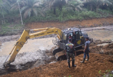 Pembuatan Kolam Ikan di Desa Bedeng Rejo, Ternyata Satgas TMMD ke-122 Kodim Sarko Turut Serta