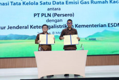 PLN-Ditjen Gatrik Sinergi Kendalikan Perubahan Iklim pada Subsektor Pembangkit Listrik