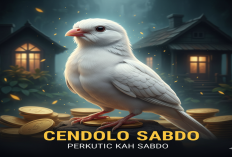 Kekuatan Magis Perkutut Cendolo Sabdo,  Simpan Kekayaan Tapi Ada Pantangan Lokasi Mengerikan!