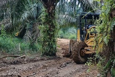 Awas Bang, Alat Berat Meliuk-liuk Hindari Kelapa Sawit Skrap Jalan TMMD 128 Kodim 0405 Lahat