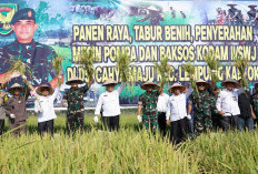 Panen Raya Padi di Kabupaten OKI, Ini Kata-kata Pangdam II Sriwijaya