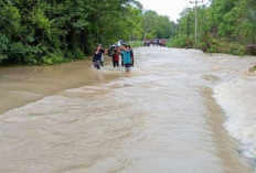 Jalan Penghubung Desa Di Kecamatan Belitang III Terendam Banjir, Ini Penyebabnya