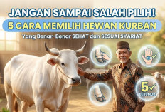 Jangan Sampai Salah Pilih! Ini 5 Cara Memilih Hewan Kurban yang Benar-Benar Sehat dan Sesuai Syariat