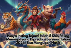 Punya Insting Tajam! Inilah 5 Shio Paling Menonjol yang Diprediksi Bersinar Tahun 2026, Bisa Mengubah Nasib