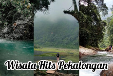 Libur Telah Tiba! Ini 9 Tempat Wisata Hits Pekalongan Bernuansa Alam, Panorama Keindahannya Bikin Males Pulang