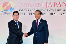 Hari Kedua di Tokyo, Presiden Joko Widodo Hadiri KTT Perayaan 50 Tahun ASEAN-Jepang