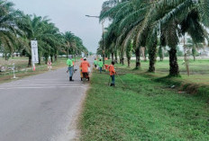 Rangkaian HUT ke 21 Ogan Ilir Hasilkan Sampah 1.080 Kubik, Lihat Sampah Ini yang Mendominasi