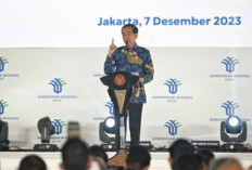 Presiden Jokowi Instruksikan Jajaran Terus Perbaiki Iklim Investasi di Tanah Air