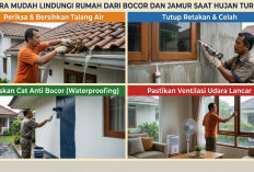 TERUNGKAP! Cara Mudah Lindungi Rumah dari Bocor dan Jamur Saat Hujan Turun, No 5 Sering Diremehkan Tapi Fatal