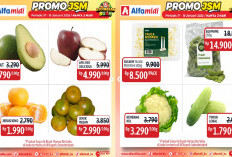 Makan Buah Hemat! KATALOG Promo JSM Alfamidi, Dapatkan Alpukat Rp2.790 Per100g