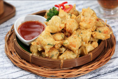 Ide Cemilan Gampang Cepat Jadi: Pangsit Goreng Mini Praktis, Dijamin Krispi dan Gurih