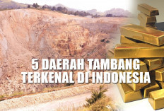Bertabur Emas! Inilah 5 Daerah Tambang Emas Terkenal di Indonesia