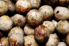 Inilah Kabupaten Penghasil Duku Terbanyak di Sumsel, Kualitasnya Terjamin!