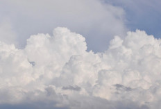 Pantau Cuaca di Palembang Hari Ini, Selasa 2 September 2025, BMKG: Berawan dan Hujan Ringan!