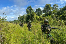 Jaga Stabilitas Keamanan, Giat Parimeter Dilakukan Satgas Yonif 141 Aneka Yudha Jaya Prakosa, Seperti Apa