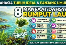 Rahasia Tubuh Ideal dan Panjang Umur! 8 Manfaat Rumput Laut, Superfood Alami untuk Menangkal Berbagai Penyakit