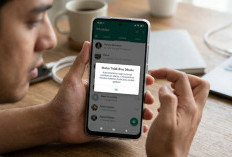 Status WhatsApp Tak Bisa Dibuka? Coba 5 Langkah Ini Sebelum Instal Ulang Aplikasi