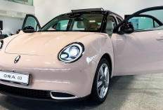 Simulasi Kredit GWM Ora 03, Alternatif Cerdas Punya Mobil Listrik Bergaya Eropa Tanpa Harus Jadi Sultan!