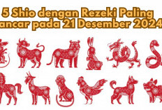 5 Shio dengan Rezeki Paling Lancar pada 21 Desember 2024, Kebaikan Hati Jadi Kunci Sukses, Ada Kamu?