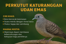 Mistik Perkutut Katuranggan Udan Emas, Konon Bisa Membawa Kekayaan Pemiliknya