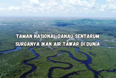 Taman Nasional Danau Sentarum, Surganya Ikan Air Tawar di Dunia