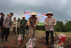 Polres Lahat Tanam Jagung Hibrida Kuartal Pertama 2026, Lahan Dikelola Poktan Loh