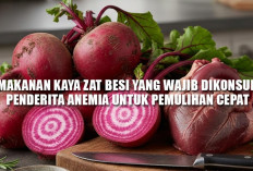 Tak Lagi Lemas! Ini 10 Makanan Kaya Zat Besi yang Wajib Dikonsumsi Penderita Anemia untuk Pemulihan Cepat